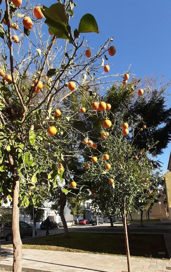 Valinor Apartments Boliches Fuengirola Zewnętrze zdjęcie