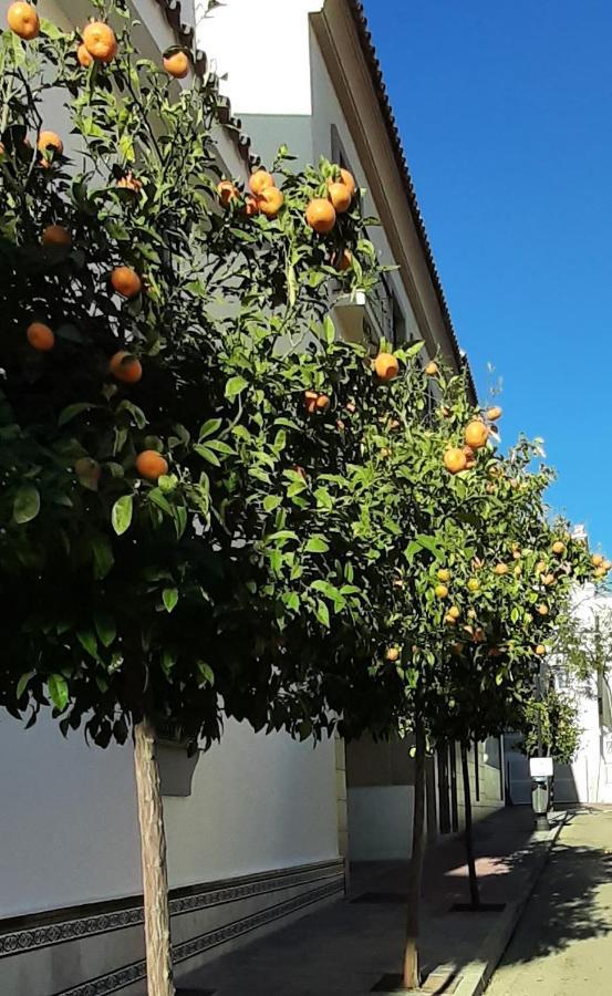 Valinor Apartments Boliches Fuengirola Zewnętrze zdjęcie